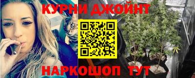 ешки Будённовск