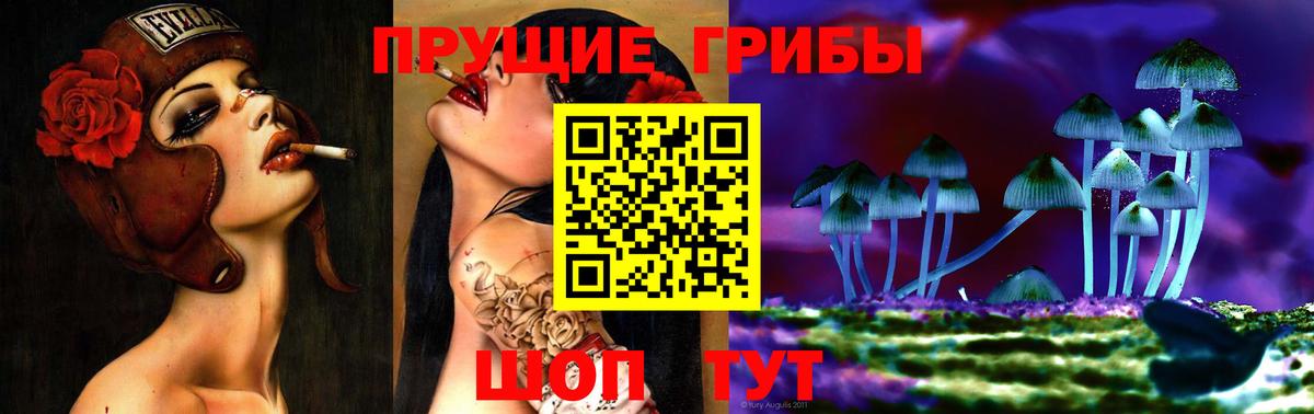Старая Русса  Псилоцибиновые грибы Magic Shrooms  Вход с VPN  Галлюциногенные грибы Psilocybe 